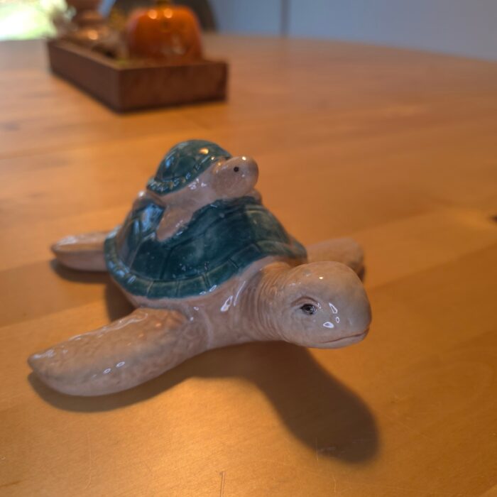 Mama und Baby Meeresschildkröte