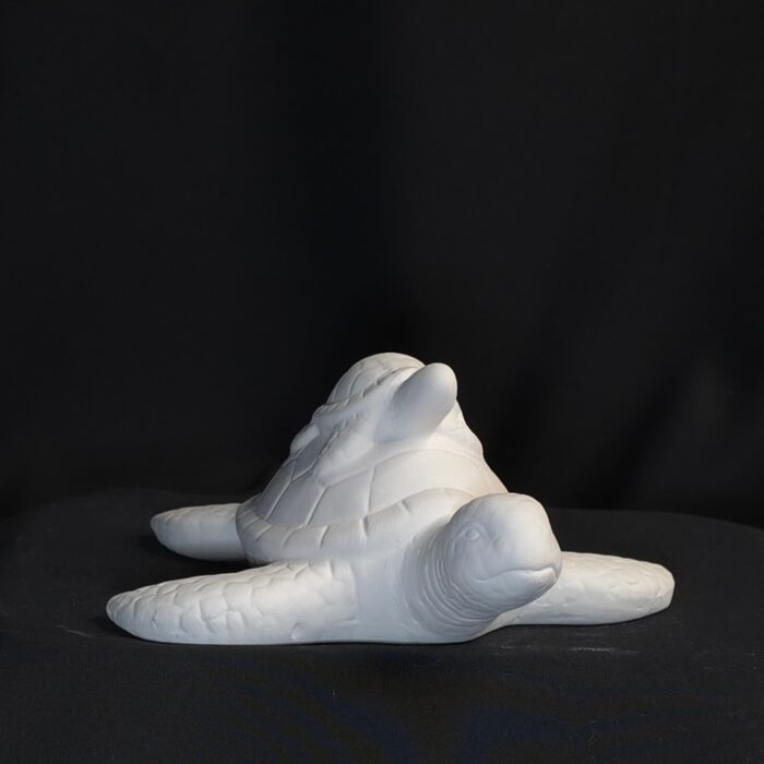 Mama und Baby Meeresschildkröte