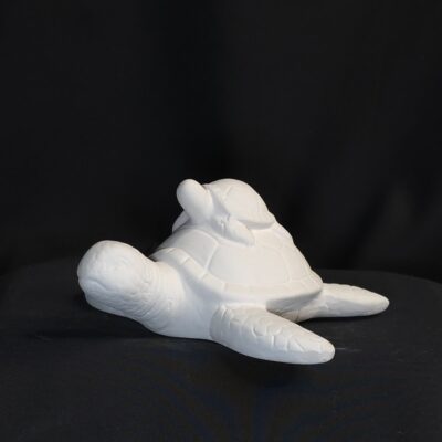 Mama und Baby Meeresschildkröte